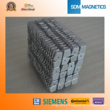 Strong Neo Magnet with ISO 9001